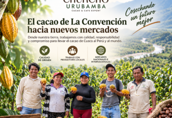Forest Products impulsa el cacao de La Convención hacia nuevos mercados