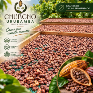 Granos de Cacao Fermentado